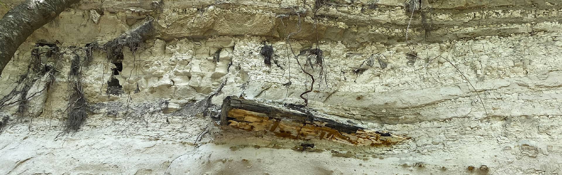 Fossil forest of Evros