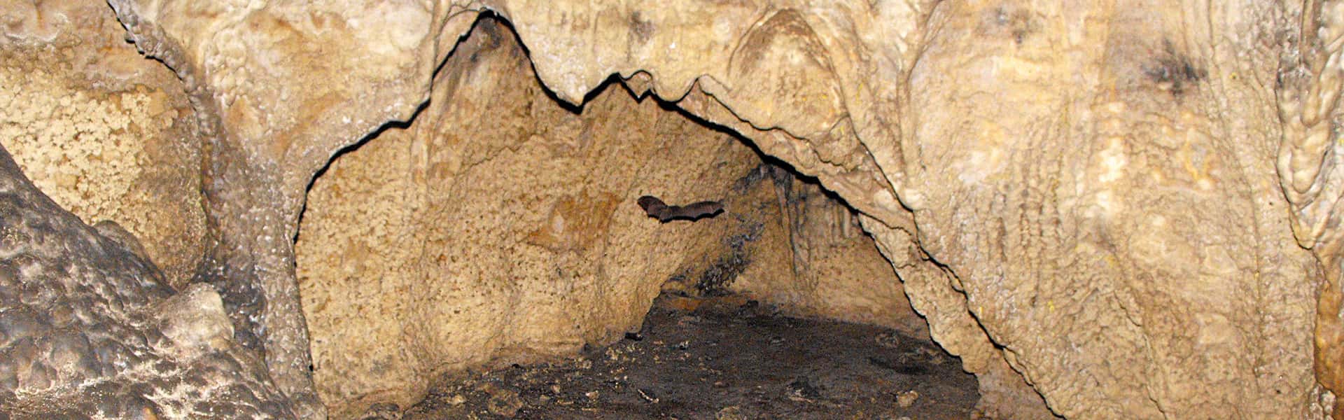 Drakotrypa cave (Panagia)